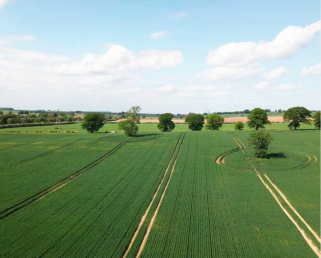 Built on Nutrition, Proven on Yield